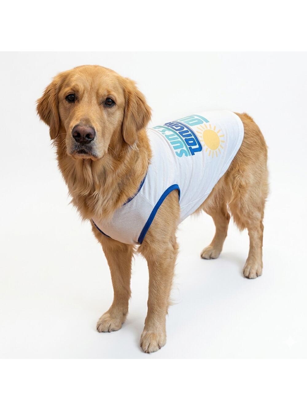 Buttons & Bones Large Dog Tank Top Sun's Out Tongue's Out Blue Trim Pet Shirt